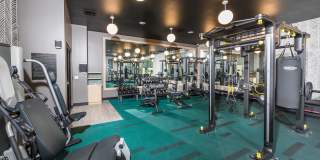 Skylar Grand Gallery 26