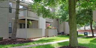 Ridgewood Gallery 10