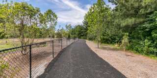 Sugarloaf Walk Gallery 24