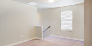 Modern 4bd 2.5ba in LSSD Gallery 10