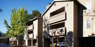 The Docks at Redmond Lakeview Gallery 20