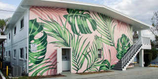 Palms on 31 Gallery 9