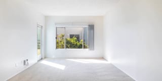 Park West Gallery 11