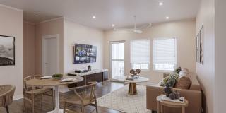 Waterleaf at Salt Creek Gallery 15