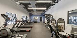 Palomar Apartment Homes Gallery 15