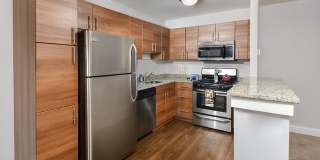 DeKalb Gallery 37