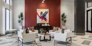 Avelyn San Marcos Gallery 20