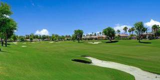 383 Desert Holly Drive Gallery 34