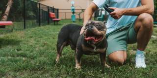 Inlet Bay at Gateway Gallery 37