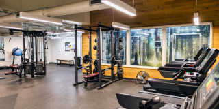 The Beacon Gallery 33