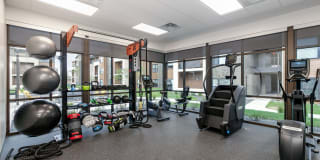 The Avante Gallery 10