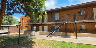 Axel305 (6Plex) Gallery 1