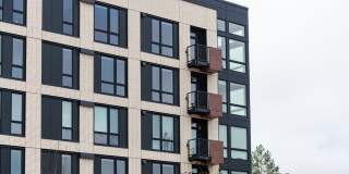 The Piper Gallery 10