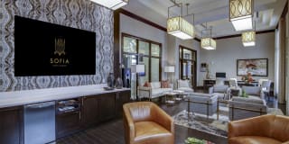 Sofia Coral Gables Gallery 26