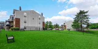 TGM Meadow View Gallery 81