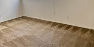 451 South Oakland Avenue - 8 Gallery 14