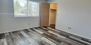 2519 Sunny Slope Drive 2519 Sunny Slope Drive Gallery 9