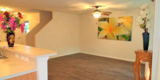 Vero Beach Rentals. Vero Beach Rent, LLC and Property Management Company Vero Beach Rentals. Vero Beach Rent, LLC and Property Management Company Gallery 14