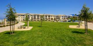 Torrey Gardens Gallery 1