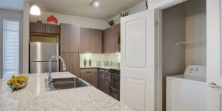 Boardwalk on Research Gallery 6