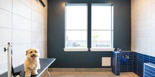 Alexan Junction Heights Gallery 16