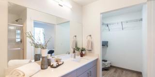 Red Hawk and Laurel Grey Gallery 13