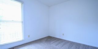 1328 Butterwood Circle Gallery 11