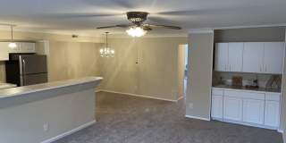 7531 Spring Lake Drive Gallery 10