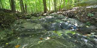 240 Beechtree Dr Gallery 29