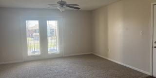 The Trace at 161 Gallery 12