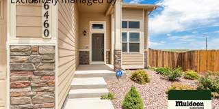 Beautifully done home close to Military Bases and Amazon Building! Gallery 30