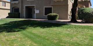 Desert Ridge Beauty next to community park! Gallery 1