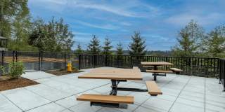 Ravenswood Gallery 20