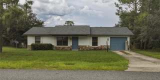65 PINE Trace Gallery 1