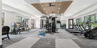 Ascend at Carlton Gallery 43