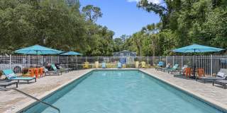 Mustang at Ocala Gallery 1