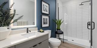 The Point Gallery 11