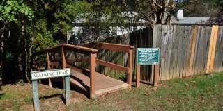 240 Beechtree Dr Gallery 25