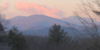 55 Edgemont Road Gallery 56