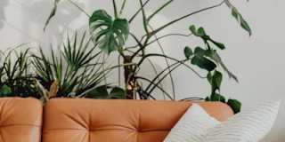 The Avenues Rental Homes Gallery 1