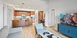 Luna at Viera Gallery 28