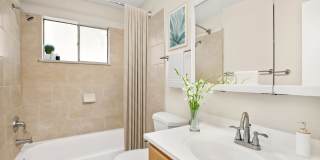 1635 Cook Gallery 5