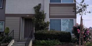 1241 Cheltenham Lane Gallery 1