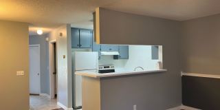 102 Commons- COMING SOON Gallery 10