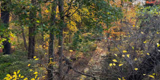 109 Reed Street Gallery 27