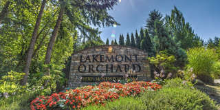 Lakemont Orchard Gallery 1