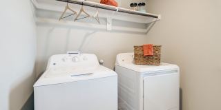 BB Living Light Farms Gallery 29