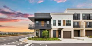 Ellison at The Exchange Gallery 13