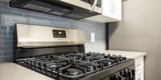 Willow Grove Gallery 4