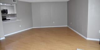 1201 River Reach Drive Gallery 4